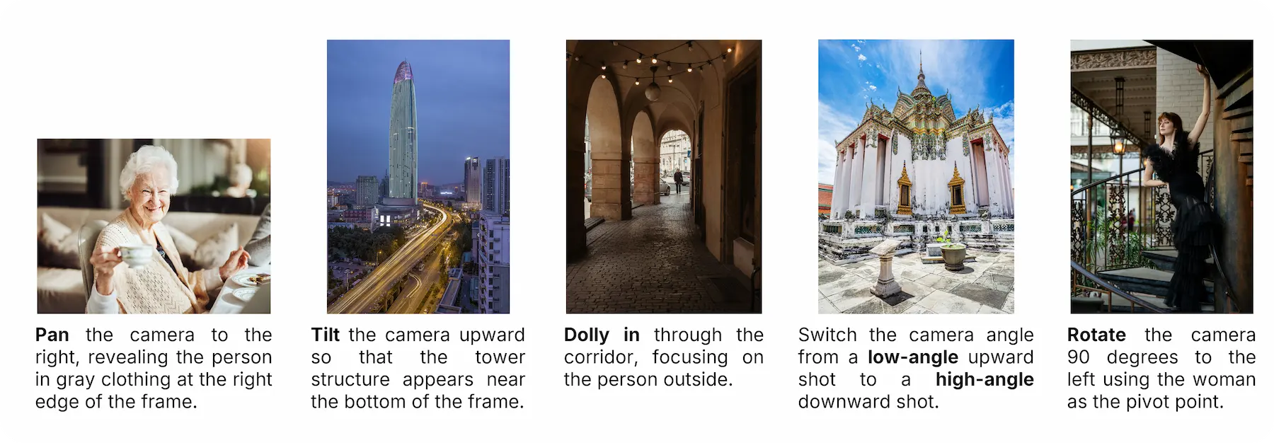 Benchmark case for camera motion image editing
